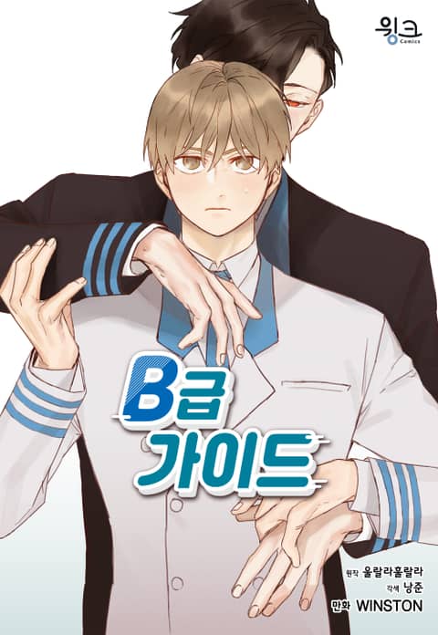 B级向导/ B级指南